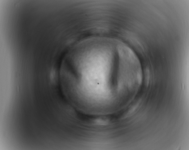 X0000092090232200709262129