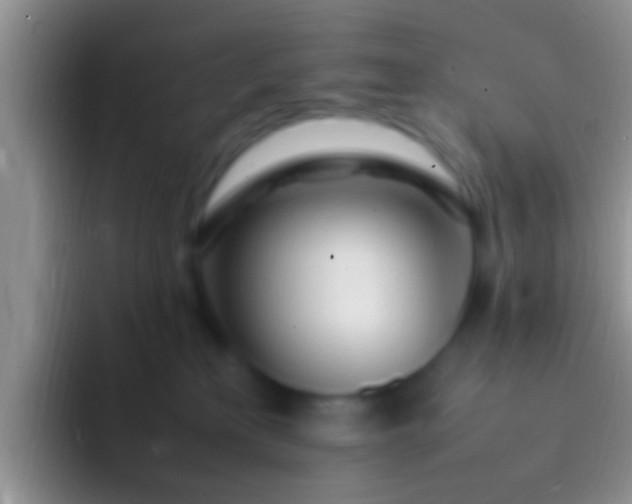 X0000092090233200709262129