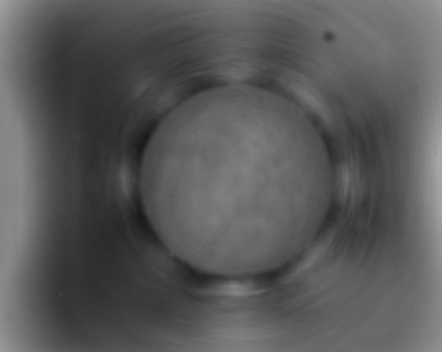 X0000092090236200709262129