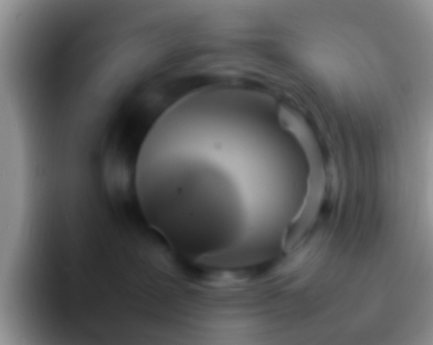 X0000092090239200709262129