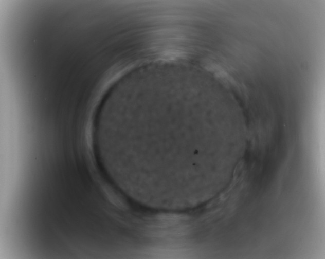 X0000092090242200709262128