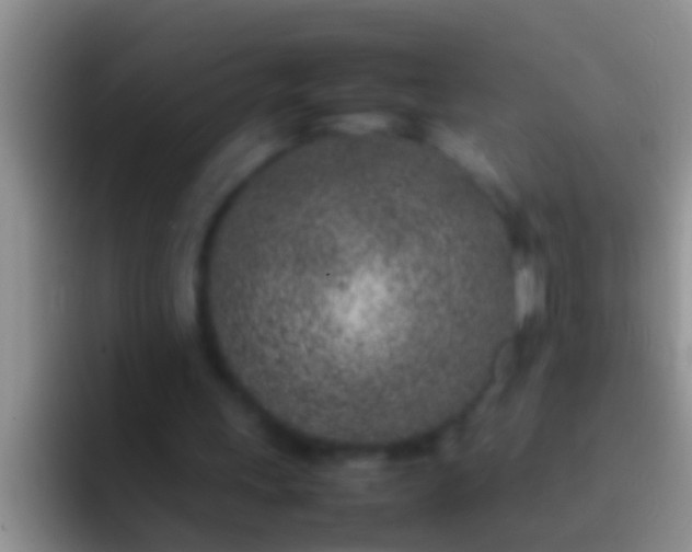 X0000092090243200709262128