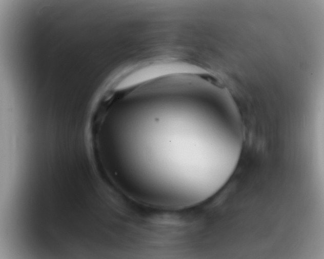 X0000092090244200709262128