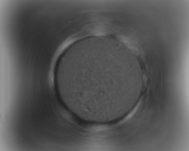 X0000092090246200709262128