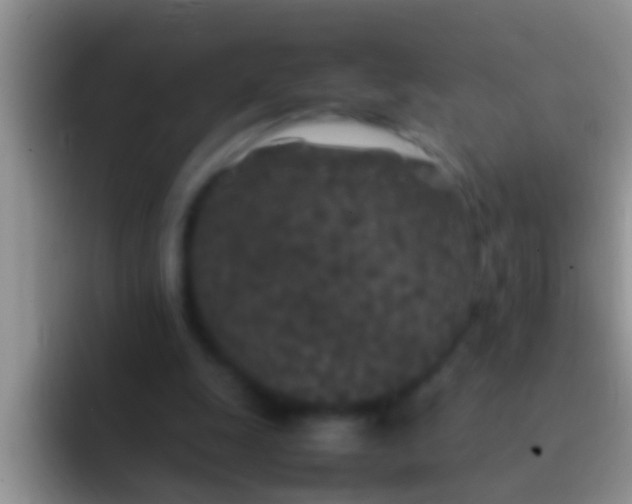 X0000092090247200709262128