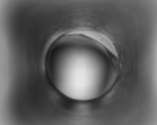 X0000092090248200709262128