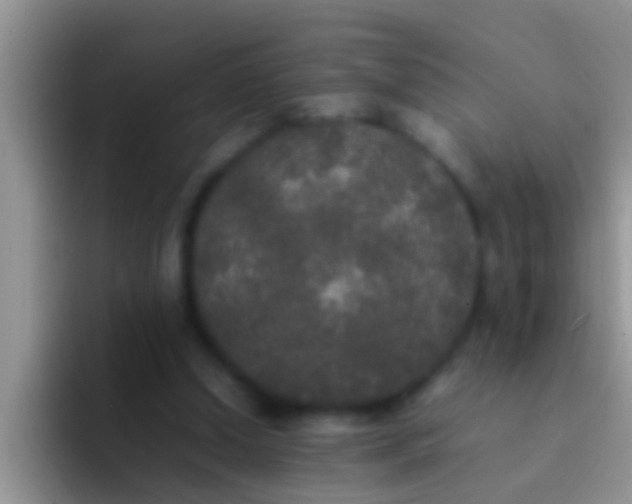 X0000092090250200709262128