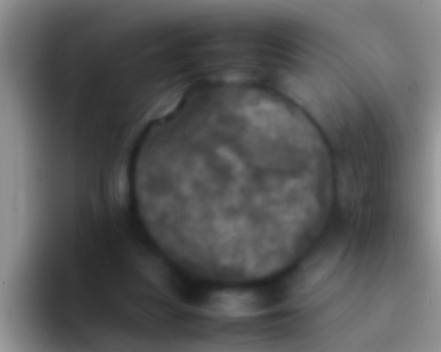 X0000092090251200709262128