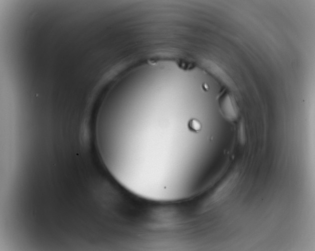 X0000092090252200709262128