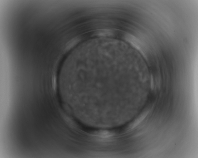 X0000092090253200709262128