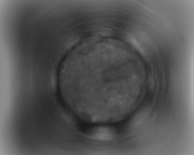X0000092090255200709262128