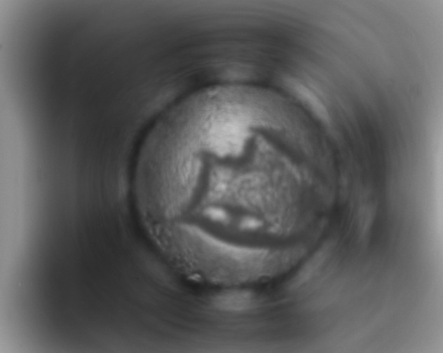 X0000092090257200709262128