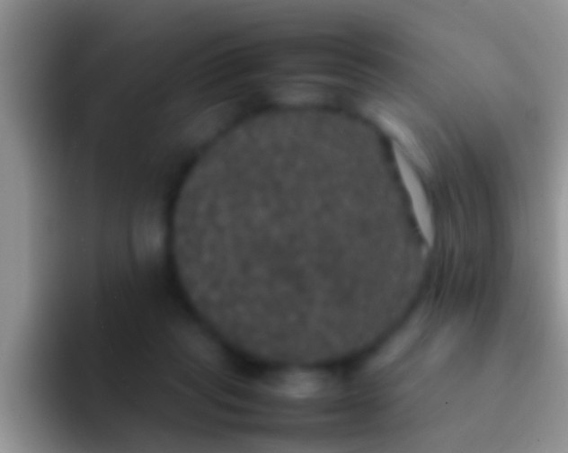 X0000092090261200709262128