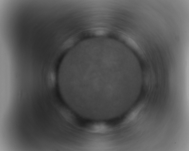 X0000092090262200709262128