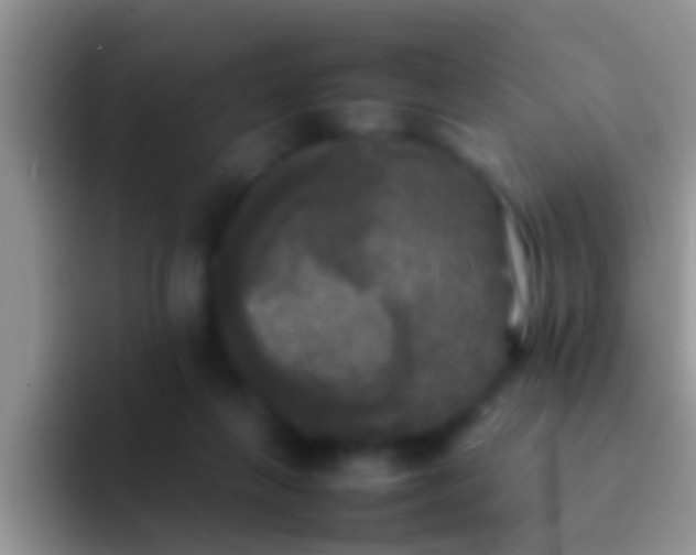 X0000092090263200709262128