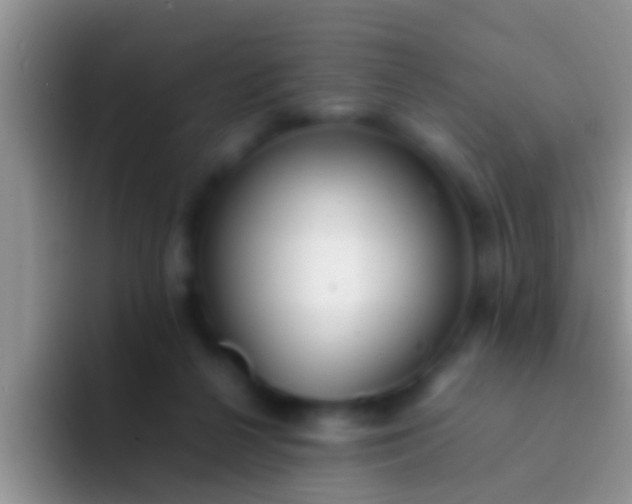 X0000092090264200709262128