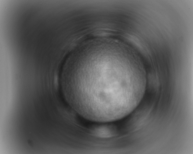 X0000092090267200709262128
