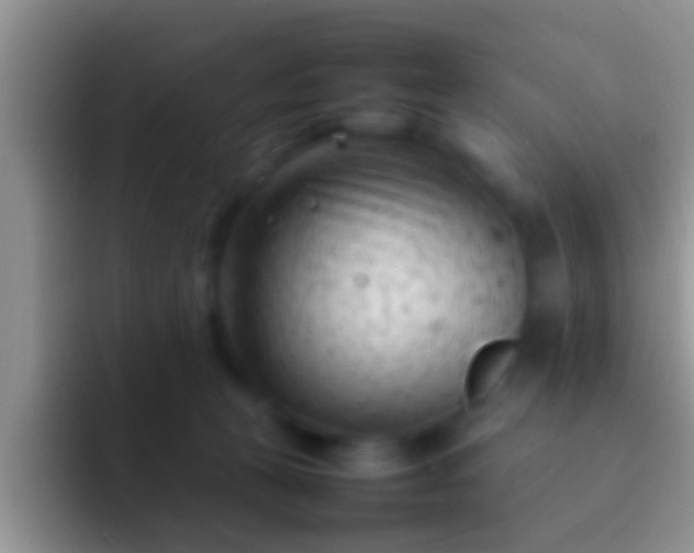 X0000092090273200709262128