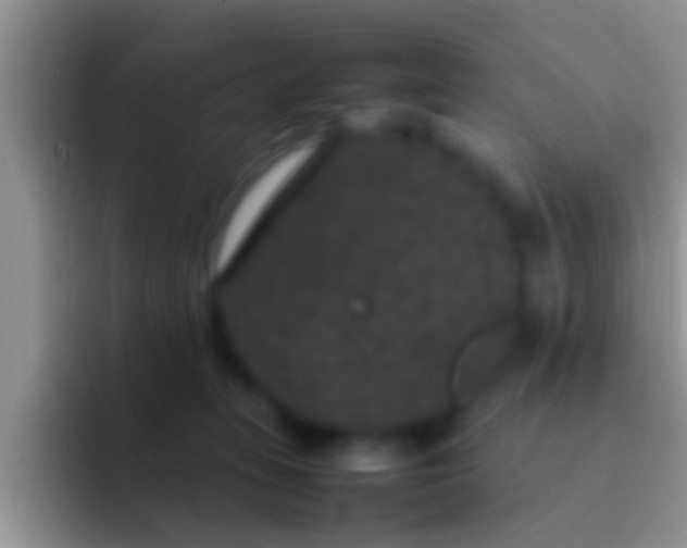X0000092090275200709262128