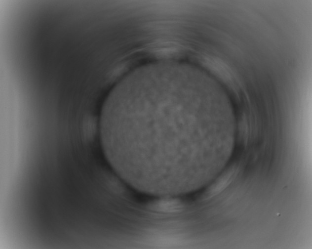 X0000092090278200709262129