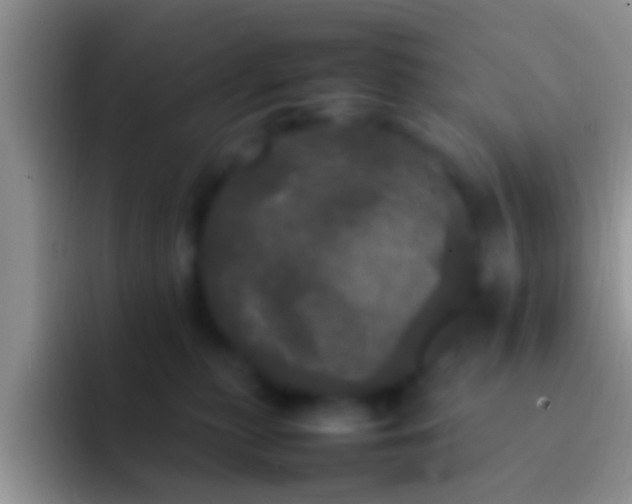X0000092090279200709262129