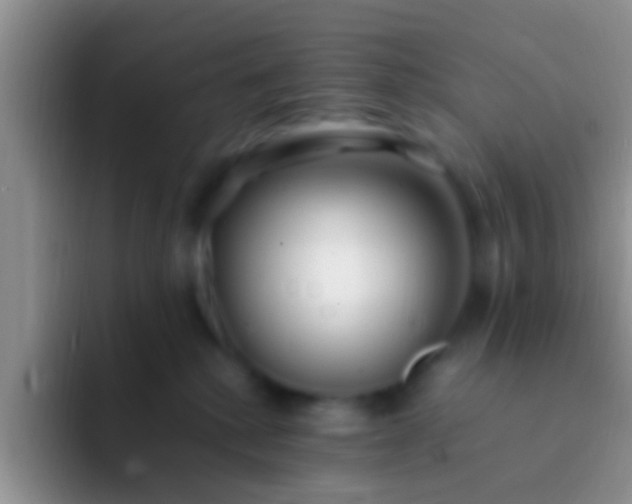 X0000092090280200709262129