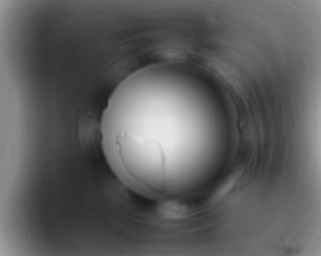 X0000092090281200709262129