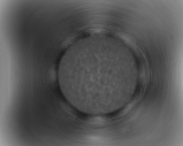 X0000092090282200709262129
