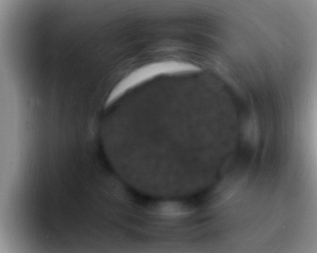 X0000092090283200709262129