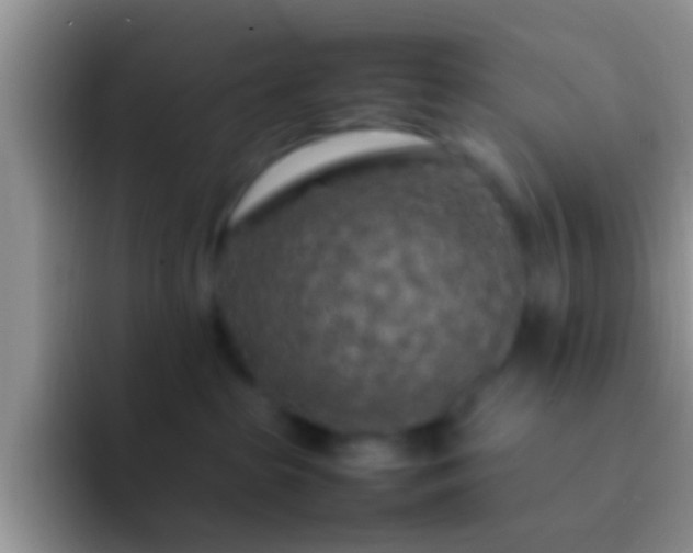 X0000092090285200709262129