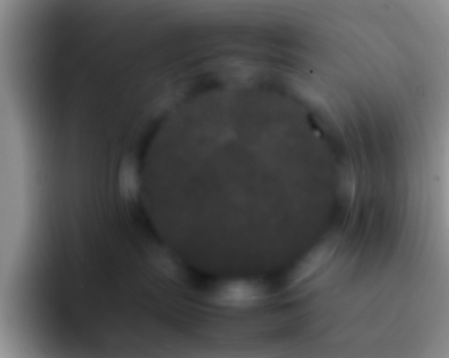 X0000092090287200709262129