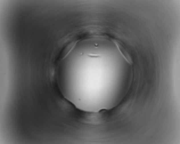 X0000092090288200709262129