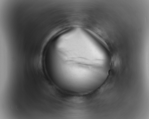 X0000092090292200709262128