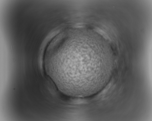 X0000092090293200709262128