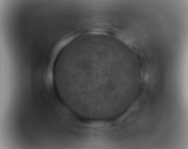 X0000092090294200709262128