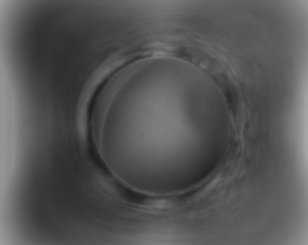 X0000092090295200709262128