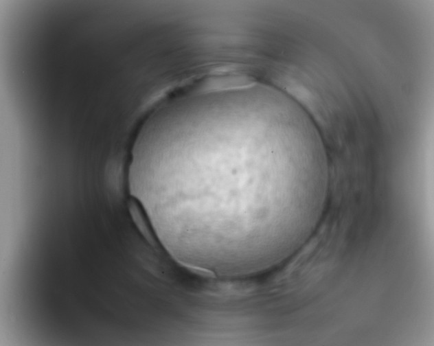 X0000092090297200709262128