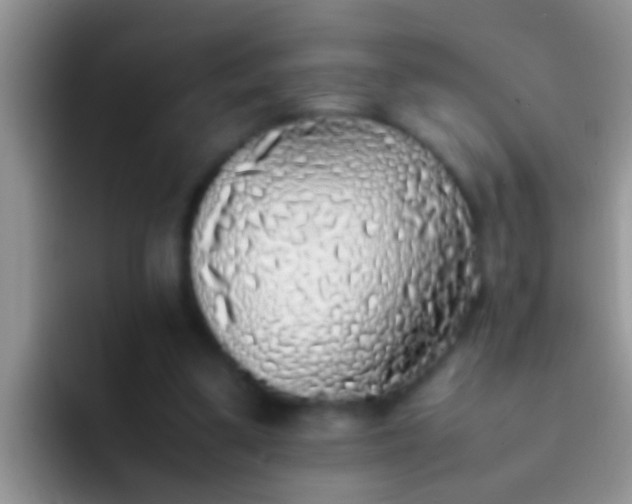 X0000092090299200709262128