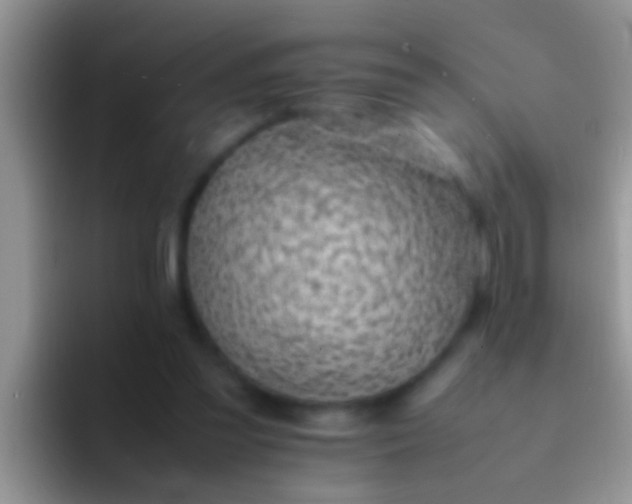 X0000092090301200709262128