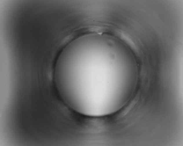 X0000092090305200709262128