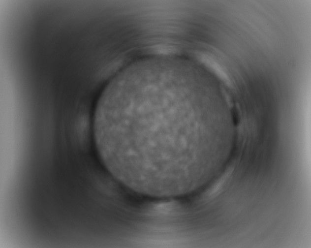 X0000092090306200709262128