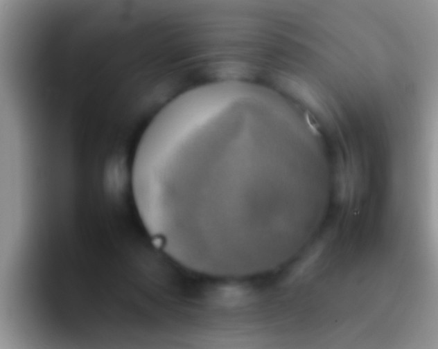X0000092090310200709262128