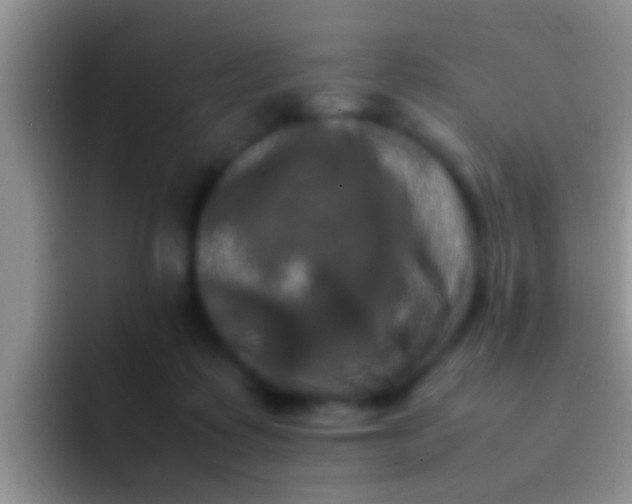 X0000092090315200709262128