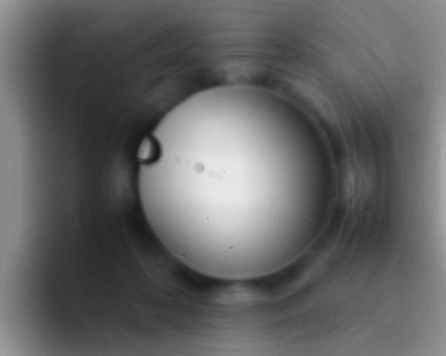 X0000092090316200709262128