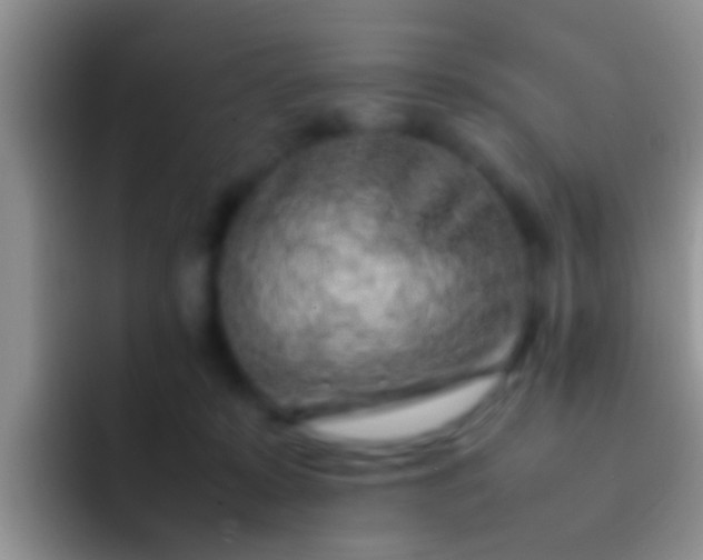 X0000092090319200709262128