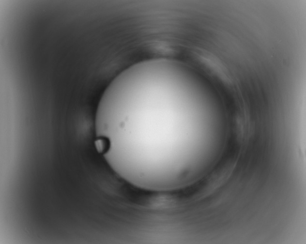 X0000092090320200709262128
