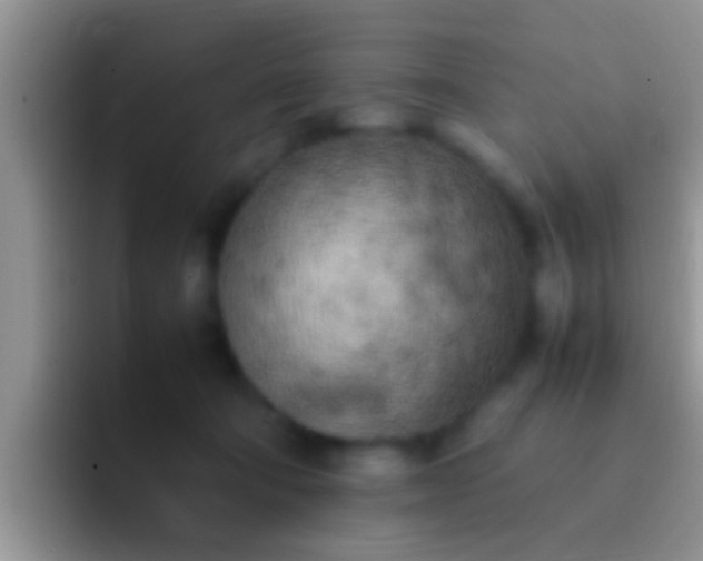 X0000092090322200709262128