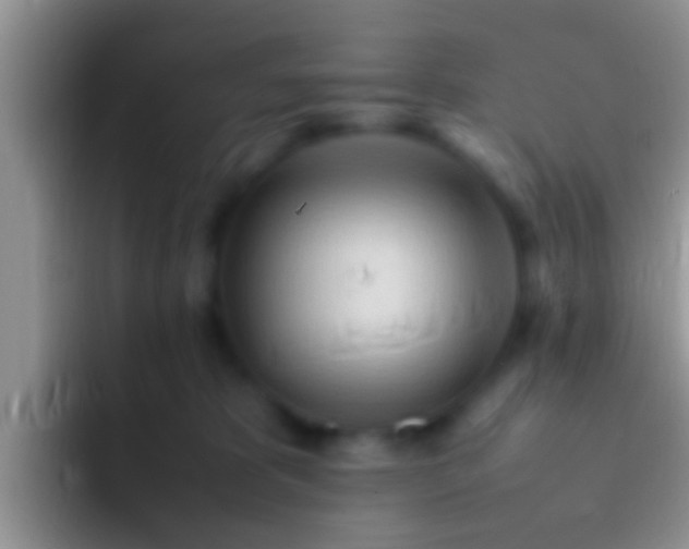 X0000092090325200709262128