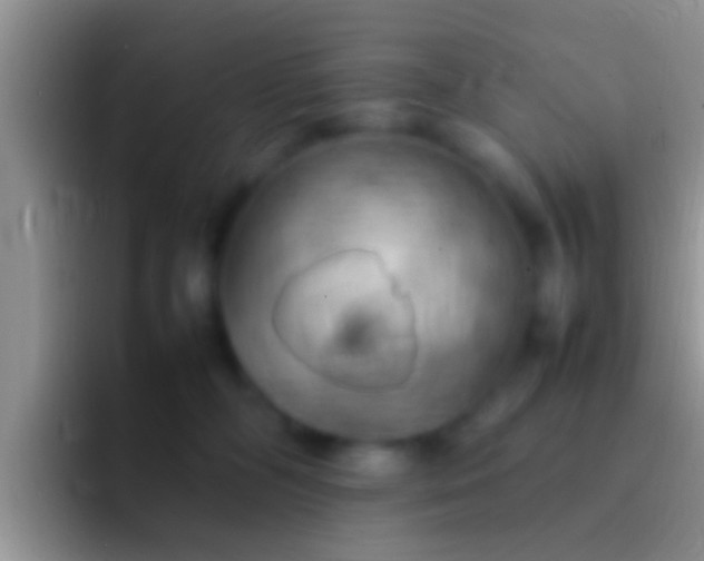 X0000092090326200709262128
