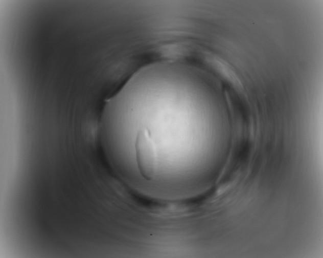 X0000092090329200709262127